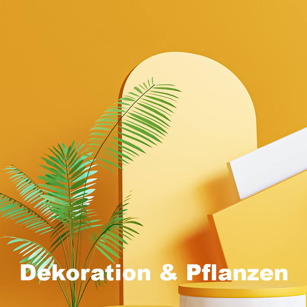 Dekoration & Pflanzen