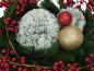 Preview: EUROPALMS Pinienkugel, beflockt, 15cm