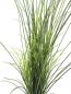 Preview: EUROPALMS Schilfgras, künstlich, 145cm