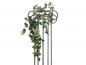 Preview: EUROPALMS Philodendronbusch Classic, künstlich, 60cm
