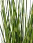 Preview: EUROPALMS Zebragras, künstlich, 90cm