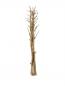 Preview: EUROPALMS Fenchelbund, getrocknet, gold, 160cm