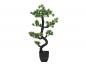Preview: EUROPALMS Bonsai Pinie, Kunstpflanze, 95cm