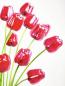 Preview: EUROPALMS Kristalltulpe, Kunstblume, rot, 61cm 12x