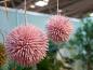 Preview: EUROPALMS Sukkulenten Kugel (EVA), Kunstpflanze, rosa, 20cm