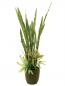 Preview: EUROPALMS Sukkulenten-Mix, Kunstpflanze, 190cm