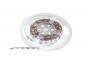Preview: EUROLITE LED Strip 300 5m 3528 5700K 12V