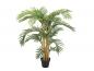 Preview: EUROPALMS Kentia Palme, Kunstpflanze, 140cm