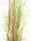 Preview: EUROPALMS Grasbusch, künstlich, 150cm