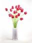 Preview: EUROPALMS Kristalltulpe, Kunstblume, rot, 61cm 12x