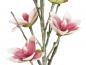 Preview: EUROPALMS Magnolienzweig (EVA), künstlich, weiß-rosa