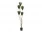 Preview: EUROPALMS Papyrus, Kunstpflanze, 130cm