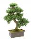 Preview: EUROPALMS Buchsbonsai, Kunstpflanze, 61 cm