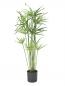 Preview: EUROPALMS Zyperngras, künstlich,76cm
