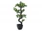 Preview: EUROPALMS Bonsai Pinie, Kunstpflanze, 95cm