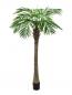 Preview: EUROPALMS Phönixpalme luxor, Kunstpflanze, 300cm