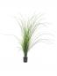 Preview: EUROPALMS Schilfgras, künstlich, 145cm