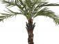 Preview: EUROPALMS Kentia Palme deluxe, Kunstpflanze  300cm