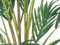 Preview: EUROPALMS Kanarische Dattelpalme, Kunstpflanze, 240cm