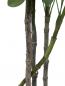 Preview: EUROPALMS Schefflera, künstlich, 90cm