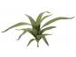 Preview: EUROPALMS Aloe (EVA), künstlich, grün, 66cm