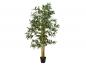 Preview: EUROPALMS Bambus Multistamm, Kunstpflanze, 180cm