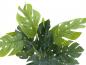 Preview: EUROPALMS Splitphilodendron, Kunstpflanze, 38cm