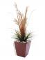 Preview: EUROPALMS LEICHTSIN BASIC-50, rot, glänzend