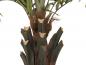 Preview: EUROPALMS Kentia Palme deluxe, Kunstpflanze  300cm