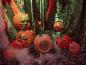 Preview: EUROPALMS Halloween Kürbis im Spinnennetz, 25cm
