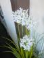 Preview: EUROPALMS Alliumgras, Kunstpflanze, weiß, 120 cm