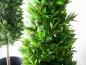 Preview: EUROPALMS Lorbeerkegelbaum, hochstamm, Kunstpflanze, 150cm