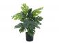 Preview: EUROPALMS Splitphilodendron, Kunstpflanze, 38cm