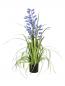 Preview: EUROPALMS Glockenblume, Kunstblume, lila, 105cm