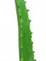 Preview: EUROPALMS Aloe-Vera-Pflanze, Kunstpflanze, 63cm