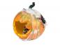 Preview: EUROPALMS Halloween Kürbis im Spinnennetz, 25cm