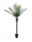 Preview: EUROPALMS Phönix Palme deluxe, Kunstpflanze  220cm