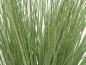 Preview: EUROPALMS Ziergras, künstlich, 65cm