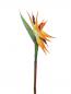 Preview: EUROPALMS Paradiesvogel-Blume, Kunstpflanze, orange, 95cm