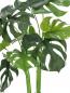 Preview: EUROPALMS Monstera deliciosa, Kunstpflanze, 90cm