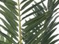 Preview: EUROPALMS Phönix Palme, Kunstpflanze, 240cm