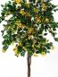 Preview: EUROPALMS Bougainvillea, Kunstpflanze, gelb, 180cm