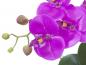 Preview: EUROPALMS Orchideen-Arrangement 4, künstlich