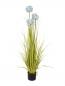 Preview: EUROPALMS Alliumgras, Kunstpflanze, blau, 120 cm