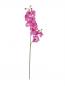 Preview: EUROPALMS Orchideenzweig, künstlich, lila, 100cm