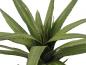 Preview: EUROPALMS Aloe (EVA), künstlich, grün, 50cm