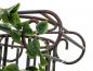 Preview: EUROPALMS Philodendronbusch Classic, künstlich, 60cm
