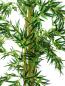 Preview: EUROPALMS Bambus Multistamm, Kunstpflanze, 210cm
