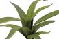 Preview: EUROPALMS Aloe (EVA), künstlich, grün, 66cm