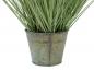 Preview: EUROPALMS Ziergras, künstlich, 65cm